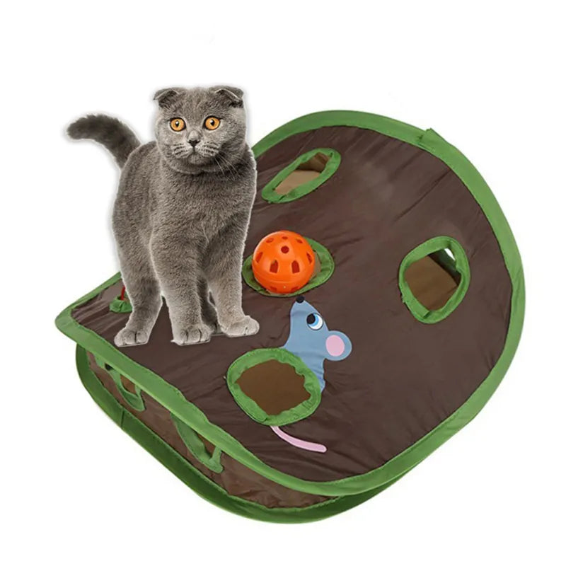 Cute Pet Cat Interactive Hide Seek Game