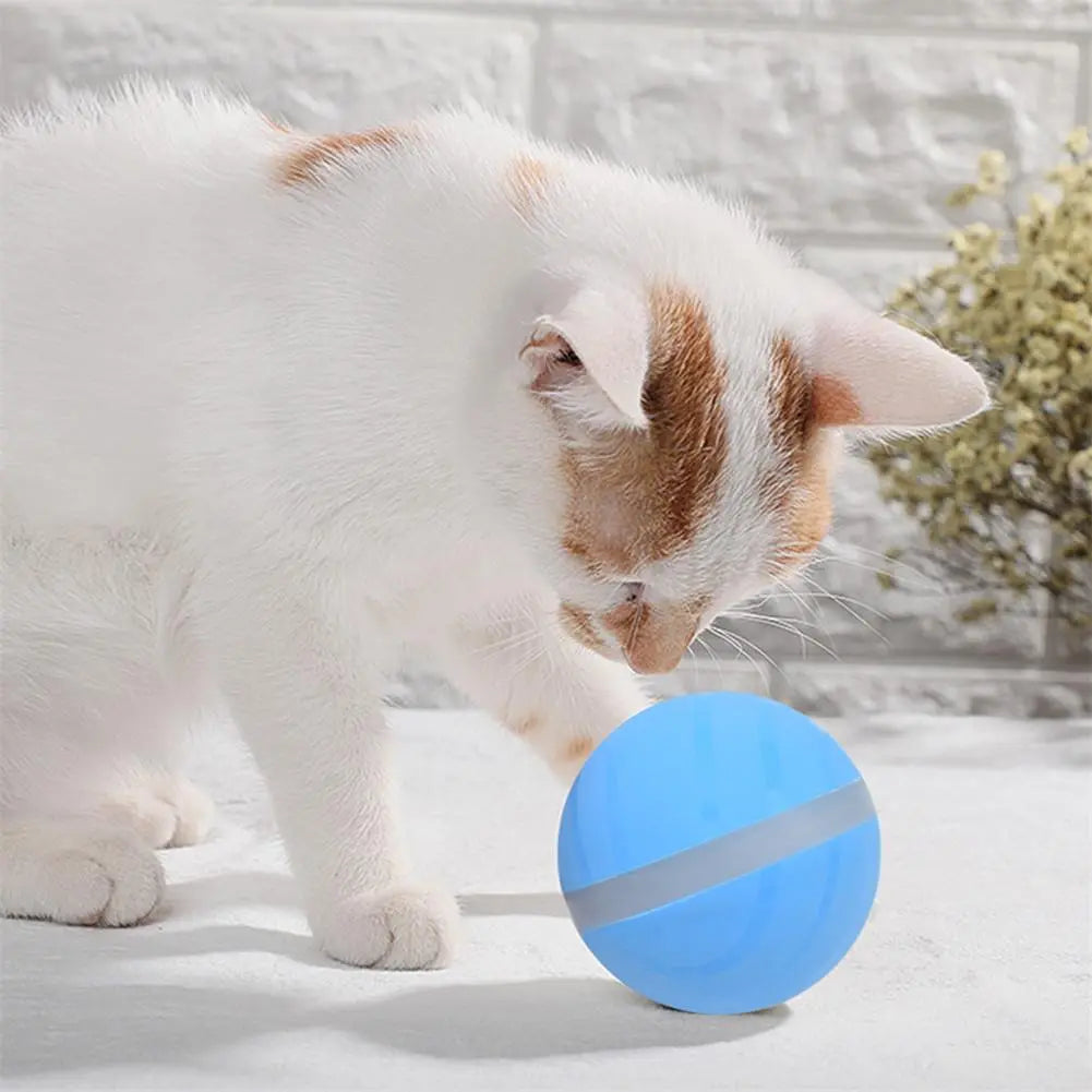 Smart Pet Toy Ball USB Charging