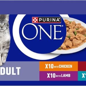 Purina ONE Mini Fillets Mixed Selection in Gravy Adult Wet Cat Food 40 × 85g
