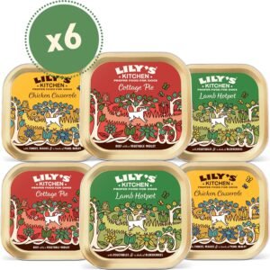 Lily's Kitchen Natural Adult Dog Food Wet Trays - Classic Dinners Multipack - Chicken, Lamb & Beef - Complete Meal Recipes (6 Trays x 150g)